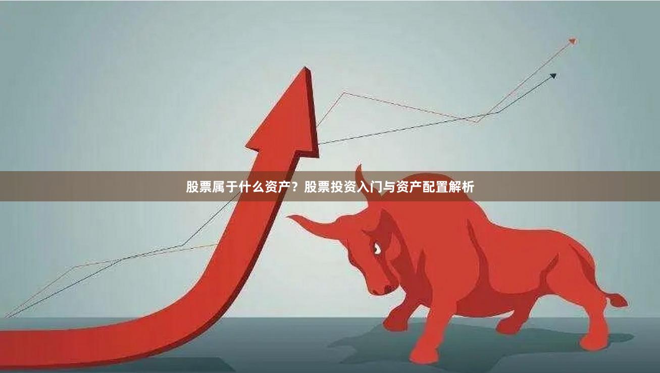 股票属于什么资产？股票投资入门与资产配置解析